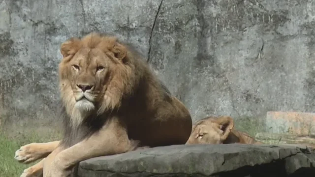 6e7e3f2fa0840c1b8c59608a052a951c