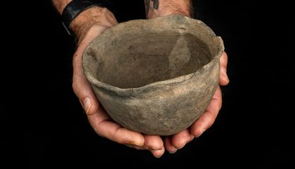 Студенты на Флориде обнаружили 400-летний целый горшок, который раскрывает конфликт между коренными, испанскими и английскими силами